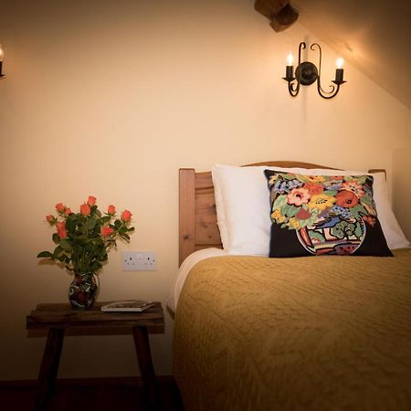 Cae'R Beili Villa Llandovery Bagian luar foto