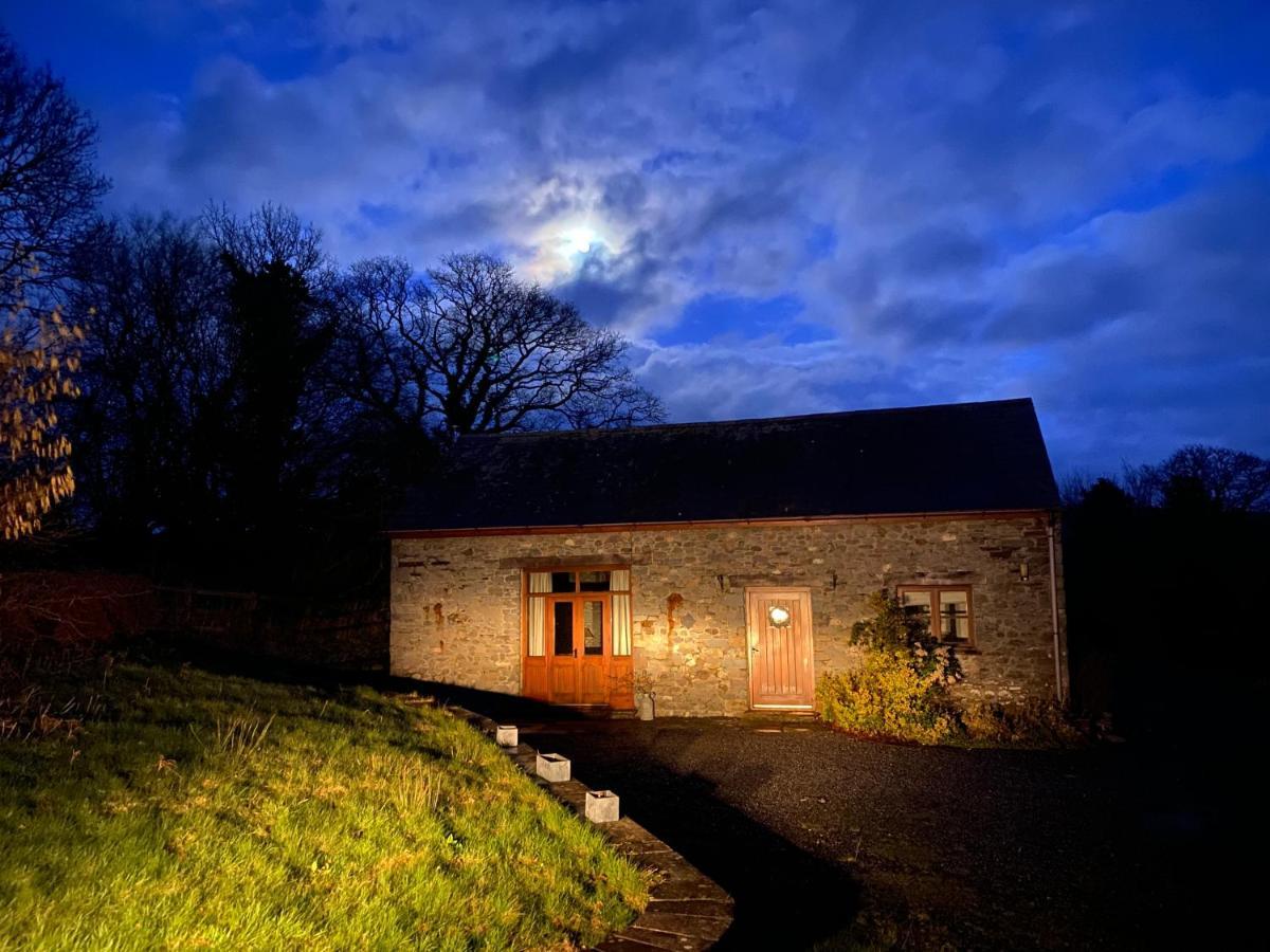 Cae'R Beili Villa Llandovery Bagian luar foto
