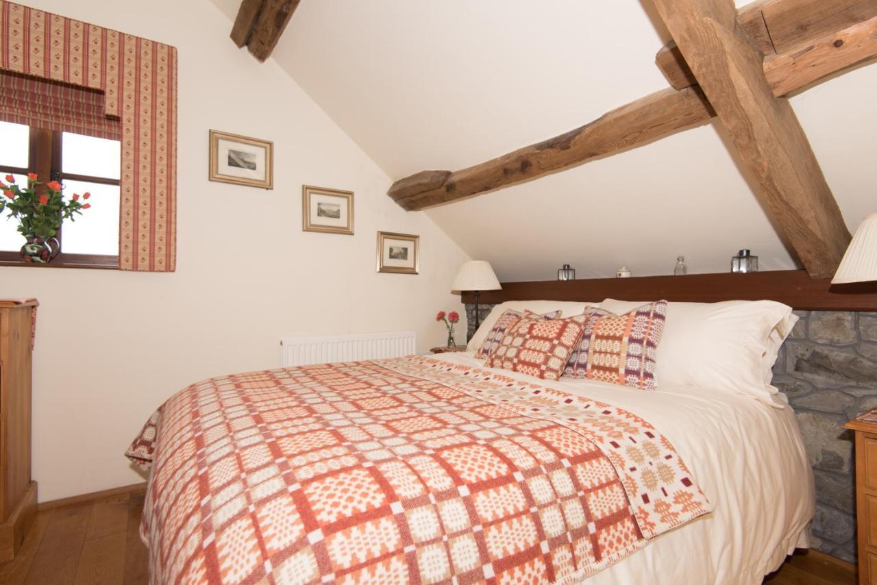 Cae'R Beili Villa Llandovery Bagian luar foto