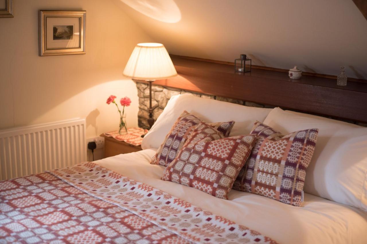 Cae'R Beili Villa Llandovery Bagian luar foto