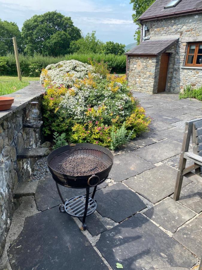Cae'R Beili Villa Llandovery Bagian luar foto