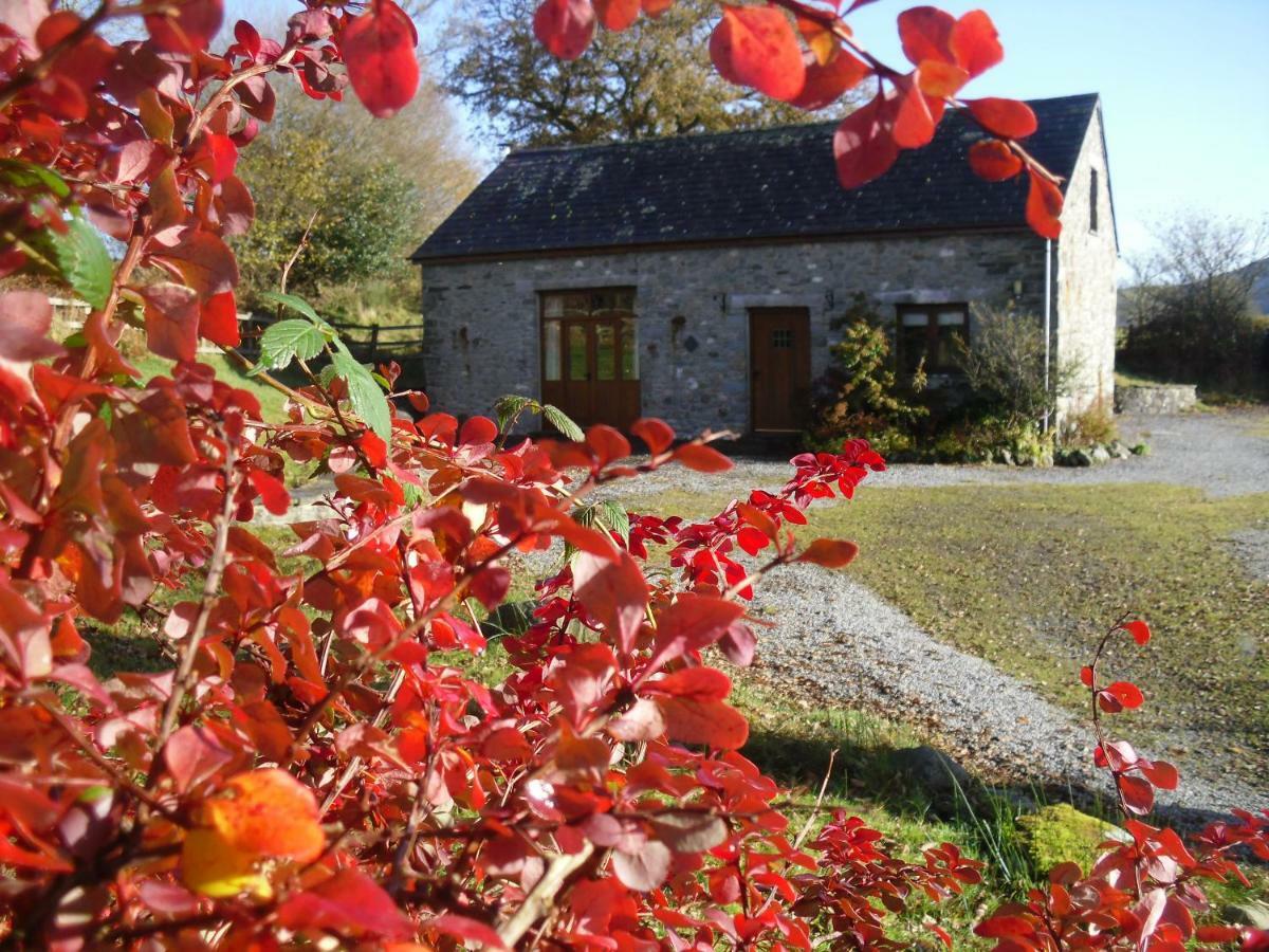 Cae'R Beili Villa Llandovery Bagian luar foto
